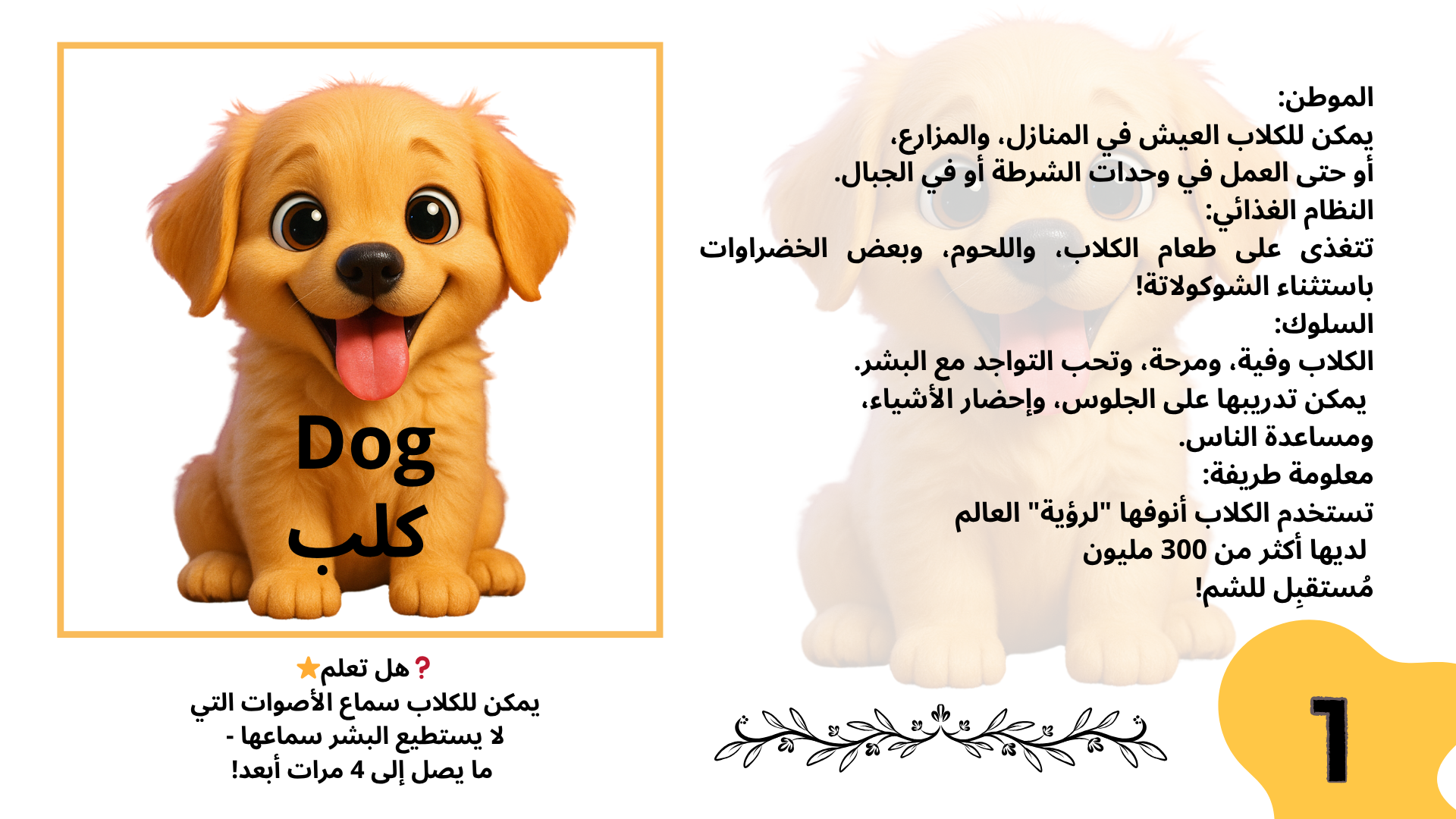 اسماء الحيوانات للاطفال