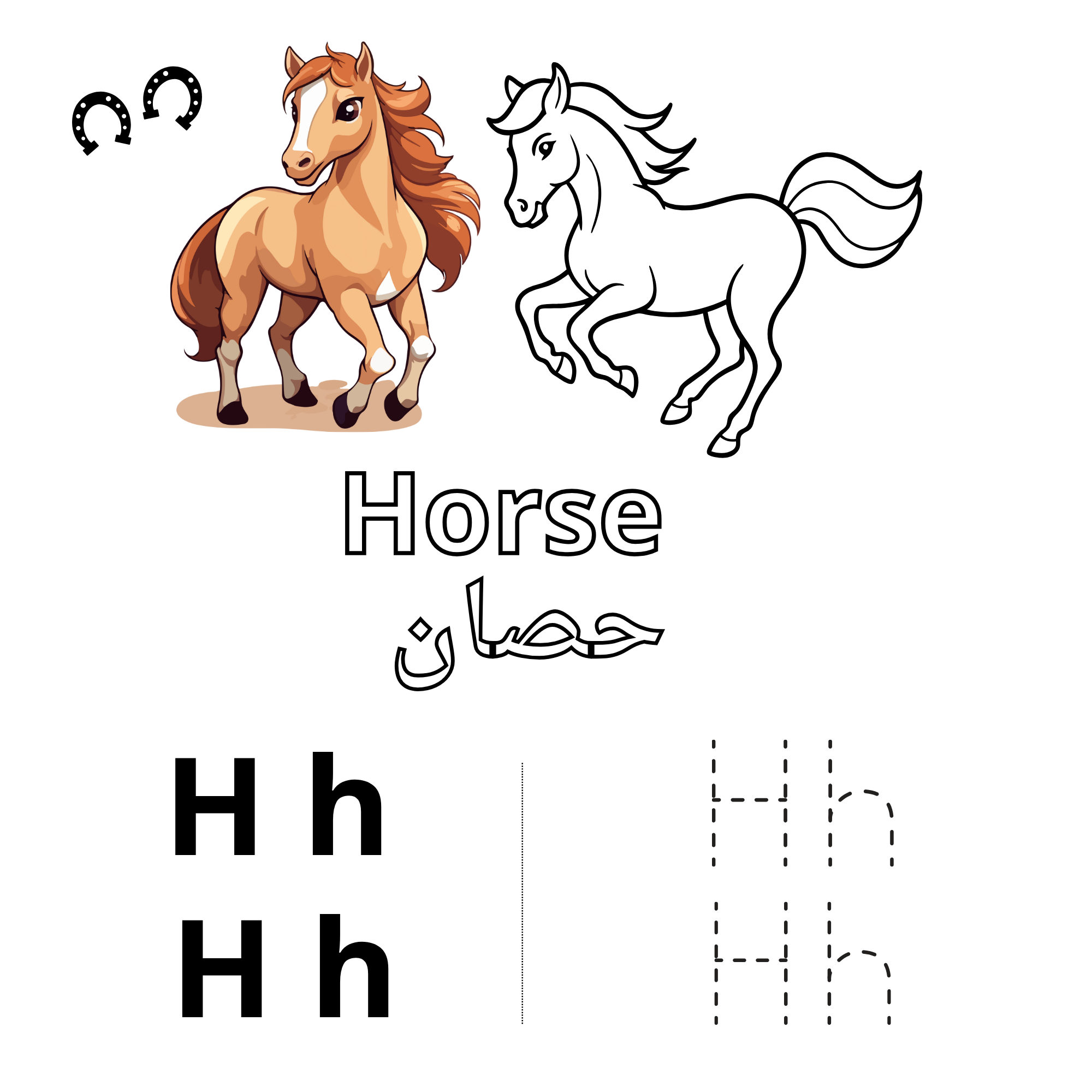  حيوانات من الألف إلى الياء